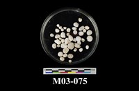 藏品(玉髓)的圖片